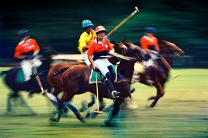 Polo, Horses, Mounts, Men, Players, SAMLIM