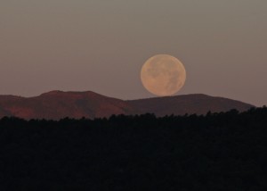 Moon, Super Moon, Randy Cockrell