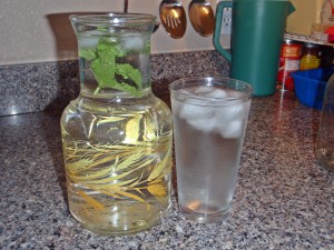 Mint Flavored Water