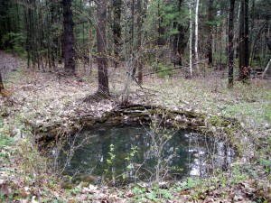 Pool in Glade by Connie Cockrell