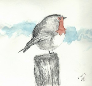 Bird by Betty Marsh