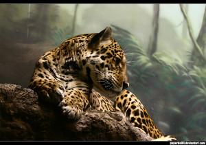 jaguar by paperdollll via DeviantArt.com